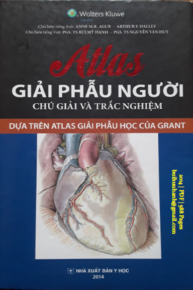 Atlas Giải Phẫu Người Chú Giải Và Trắc Nghiệm (NXB Y Học 2014) - Arthur F. Dalley, 588 Trang