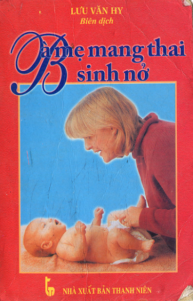 Bà Mẹ Mang Thai Sinh Nở (NXB Thanh Niên 2002) - Lưu Văn Hy, 356 Trang