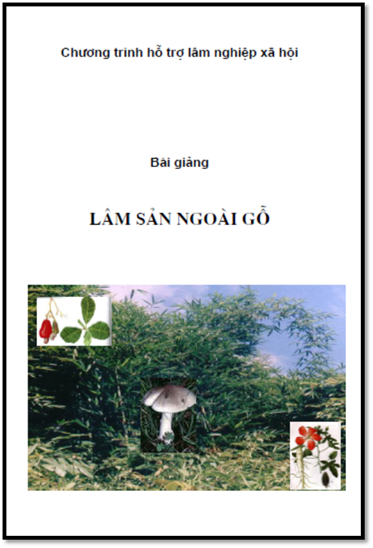Bài Giảng Lâm Sản Ngoài Gỗ (NXB Hà Nội 2002) - Đặng Đình Bôi, 110 Trang