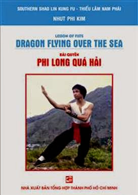 Bài Quyền Phi Long Quá Hải (NXB Tổng Hợp 2008) - Nhất Phi Kim, 176 Trang