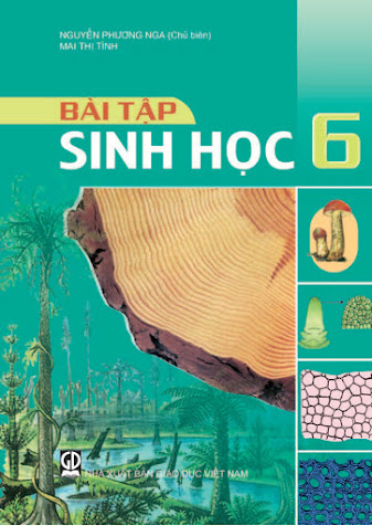 Bài Tập Sinh Học 6 (NXB Giáo Dục 2011) - Nguyễn Phương Nga, 125 Trang