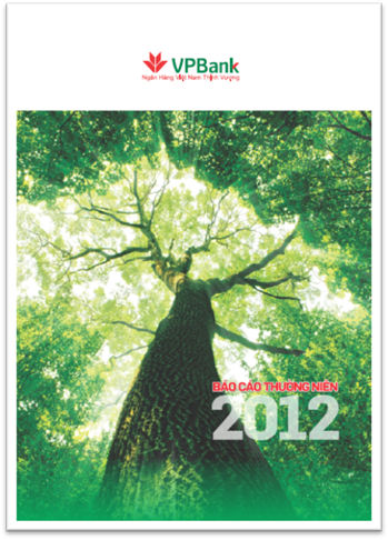 Báo Cáo Thường Niên Ngân Hàng TMCP Việt Nam Thịnh Thượng VPBank Năm 2012
