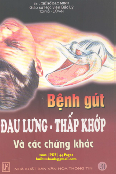 Bệnh Gút Đau Lưng, Thấp Khớp Và Các Chứng Khác (NXB Văn Hóa Thông Tin 2002) - Thỉ Số Đạo Minh
