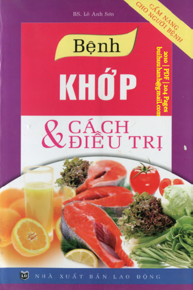 Bệnh Khớp Và Cách Điều Trị (NXB Lao Động 2010) - Lê Anh Sơn, 204 Trang