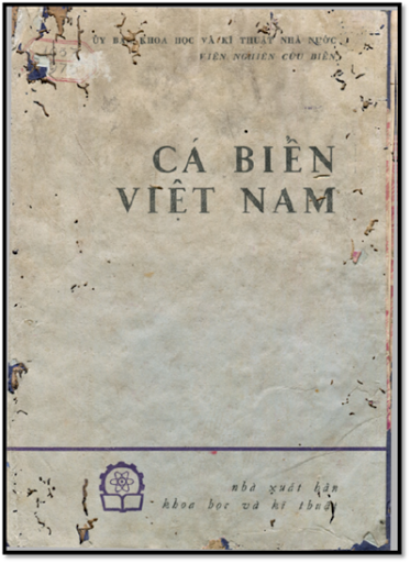 Cá Biển Việt Nam (NXB Khoa Học Kỹ Thuật 1973) - Nhiều Tác Giả, 156 Trang