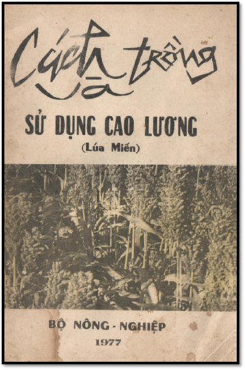 Cách Trồng Và Sử Dụng Cao Lương (NXB Nông Nghiệp 1977) - Nhiều Tác Giả, 19 Trang