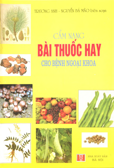 Cẩm Nang Bài Thuốc Hay Cho Bệnh Ngoại Khoa (NXB Hà Nội 2007) - Nguyễn Bá Mão, 222 Trang