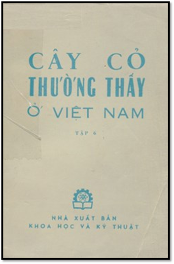Cây Cỏ Thường Thấy Ở Việt Nam Tập 6 (NXB Khoa Học Kỹ Thuật 1976) - Lê Khả Kế, 391 Trang
