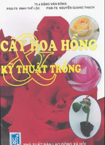 Cây Hoa Hồng Và Kỹ Thuật Trồng (NXB Lao Động Xã Hội 2002) - Đặng Văn Đông, 150 Trang