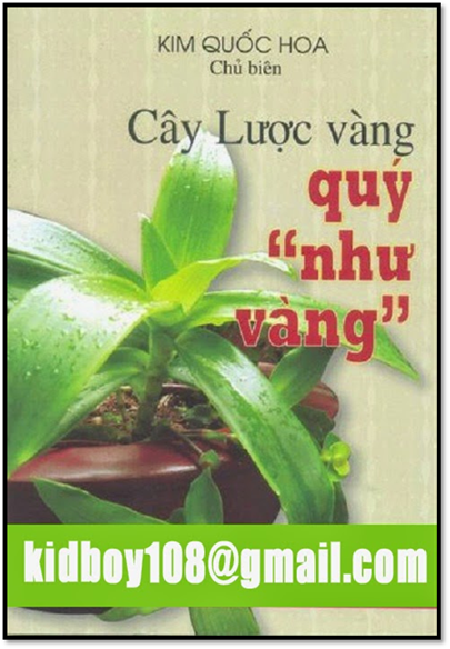 Cây Lược Vàng Quý Như Vàng (NXB Thanh Niên 2004) - Kim Quốc Hoa, 84 Trang