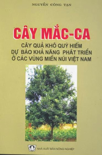Cây Mắc Ca - Cây Quả Khô Quý Hiếm Dự Báo Khả Năng Phát Triển Ở Các Vùng Miền Núi Việt Nam