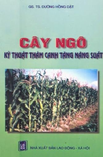 Cây Ngô, Kỹ Thuật Thâm Canh Tăng Năng Suất (NXB Lao Động Xã Hội 2004)  - Đường Hồng Dật, 125 Trang