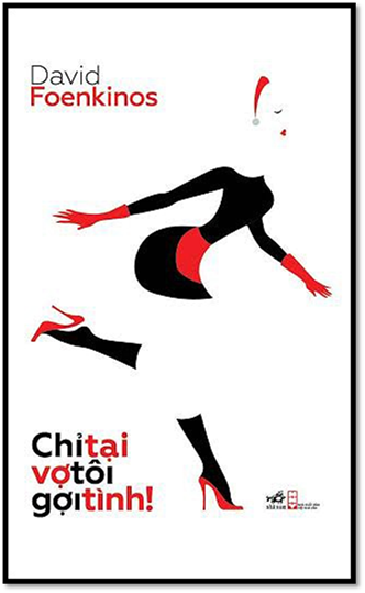 Chỉ Tại Vợ Tôi Gợi Tình (NXB Hội Nhà Văn 2014) - David Foenkinos, 192 Trang