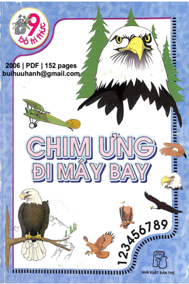 Chim Ưng Đi Máy Bay (NXB Trẻ 2006) - Cúc Hoa, 152 Trang