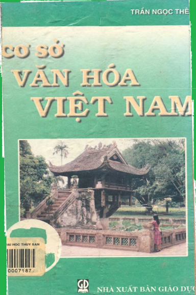 Cơ Sở Văn Hóa Việt Nam (NXB Giáo Dục 1998) - Trần Ngọc Thêm, 334 Trang