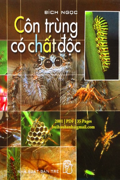 Côn Trùng Có Chất Độc (NXB Trẻ 2001) - Bích Ngọc, 35 Trang