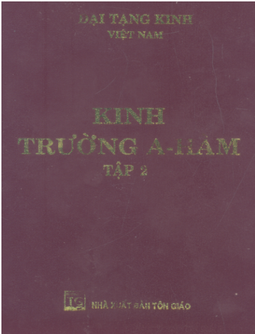 Đại Tạng Kinh Việt Nam-Kinh Trường A Hàm Tập 1+2 (NXB Tôn Giáo 2005) - Thích Chí Tịnh, Trọn Bộ 2 Tập