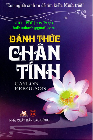 Đánh Thức Chân Tính (NXB Lao Động 2011) - Gaylon Ferguson, 239 Trang