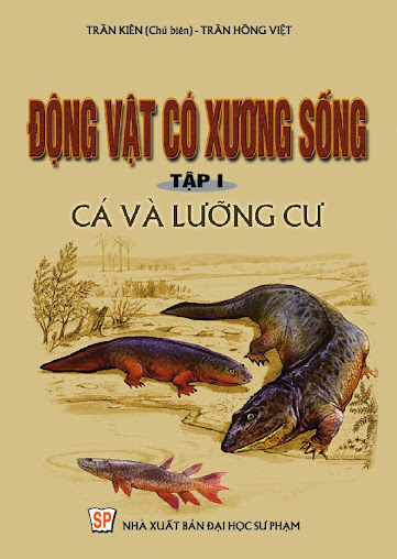 Động Vật Có Xương Sống Tập 1-Cá Và Lưỡng Cư (NXB Đại Học Sư Phạm 2003) - Trần Kiên, 525 Trang
