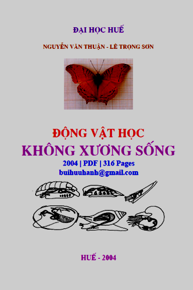 Động Vật Học Không Xương Sống (NXB Đại Học Huế 2004) - Nguyễn Văn Thuận, 316 Trang