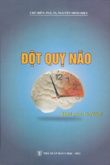 Đột Quỵ Não (NXB Y Học 2013) - Nguyễn Minh Hiện, 522 Trang