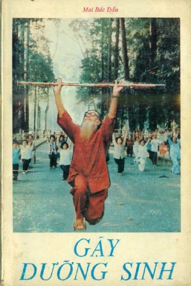 Gậy Dưỡng Sinh (NXB Trẻ 1991) - Mai Bắc Đẩu, 140 Trang