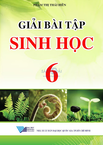 Giải Bài Tập Sinh Học 6 (NXB Đại Học Quốc Gia 2005) - Phạm Thị Thái Hiền, 90 Trang