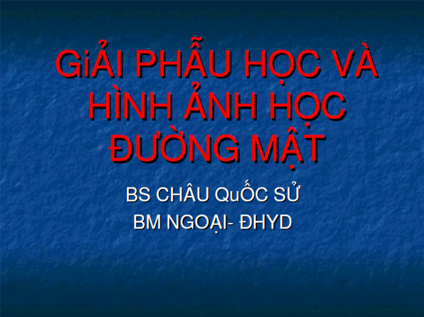 Giải Phẫu Học Và Hình Ảnh Học Đường Mật - Châu Quốc Sử, 50 Trang