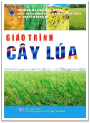 Giáo Trình Cây Lúa (NXB Cần Thơ 2008) - Nguyễn Ngọc Đệ, 244 Trang