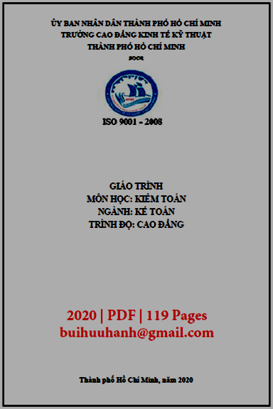 Giáo Trình Kiểm Toán (NXB Kinh Tế Kỹ Thuật 2020) - Trương Thị Như Ý, 119 Trang