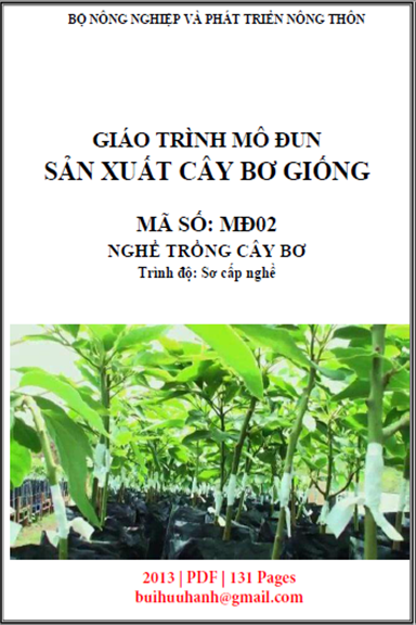 Giáo Trình Mô Đun Sản Xuất Cây Bơ Giống (NXB Nông Nghiệp 2013) - Lê Thị Nga, 131 Trang