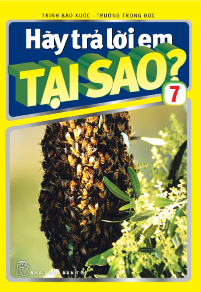 Hãy Trả Lời Em Tại Sao Tập 7 (NXB Trẻ 2009) - Nguyễn Kim Lân, 198 Trang
