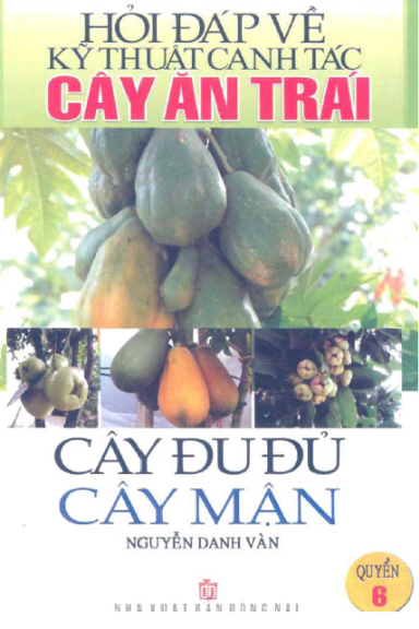 Hỏi Đáp Về Kỹ Thuật Canh Tác Cây Ăn Trái Quyển 6-Cây Đu Đủ, Cây Mận - Nguyễn Danh Vàn, 116 Trang