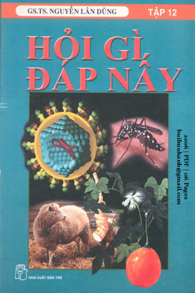 Hỏi Gì Đáp Nấy Tập 12 (NXB Trẻ 2006) - Nguyễn Lân Dũng, 116 Trang