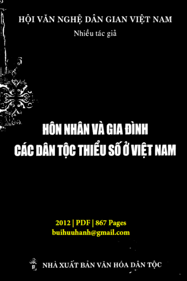 Hôn Nhân Và Gia Đình Các Dân Tộc Thiểu Số Ở Việt Nam (NXB Văn Hóa 2012) - Tô Ngọc Thanh, 867 Trang