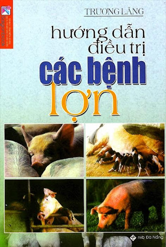 Hướng Dẫn Điều Trị Các Bệnh Lợn (NXB Đà Nẵng 2000) - Trương Lăng, 100 Trang