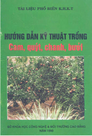 Hướng Dẫn Kỹ Thuật Trồng Cam, Quýt, Chanh, Bưởi (NXB Cao Bằng 1999) - Nông Hồng Thái, 63 Trang