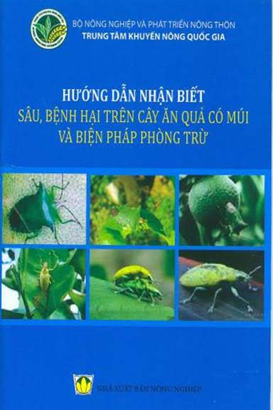 Hướng Dẫn Nhận Biết Sâu, Bệnh Hại Trên Cây Ăn Quả Có Múi Và Biện Pháp Phòng Trừ - Nguyễn Văn Nga