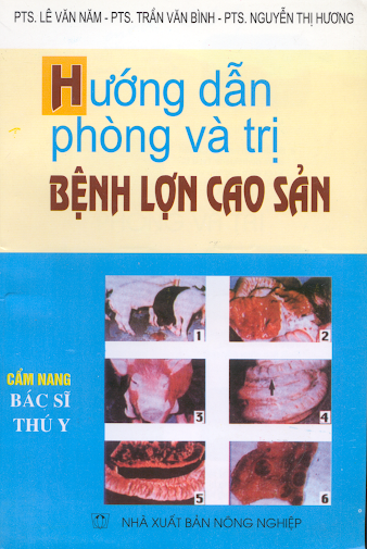 Hướng Dẫn Phòng Và Trị Bệnh Lợn Cao Sản (NXB Nông Nghiệp 1999) - Lê Văn Năm, 226 Trang