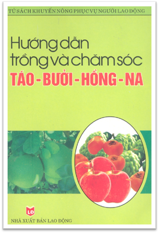 Hướng Dẫn Trồng Và Chăm Sóc Táo, Bưởi, Hồng, Na (NXB Lao Động 2005) - Chu Thị Thơm, 86 Trang
