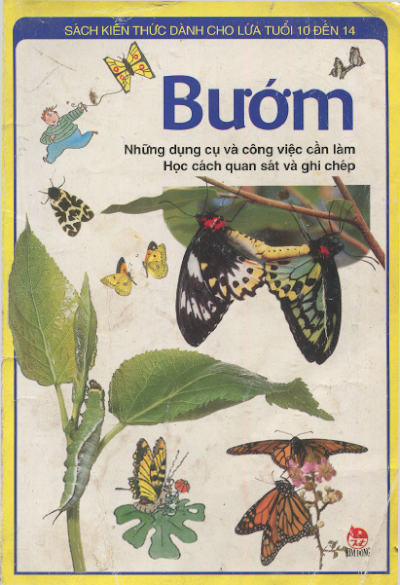 Kiến Thức Dành Cho Lứa Tuổi 10 Đến 14 - Bướm (NXB Kim Đồng 2004) - John Feltwell, 58 Trang