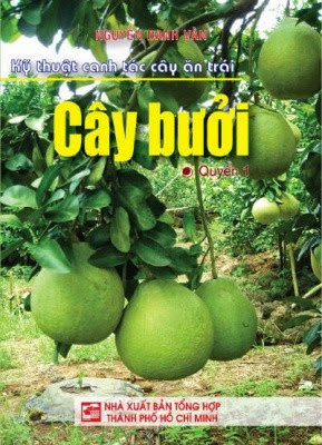 Kỹ Thuật Canh Tác Cây Ăn Trái Quyển 1-Cây Bưởi (NXB Tổng Hợp 2008) - Nguyễn Danh Vàn, 90 Trang