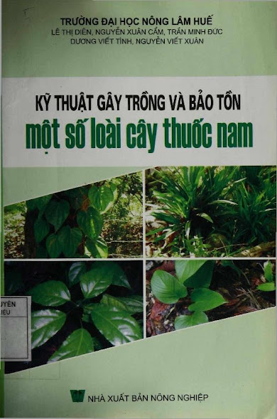 Kỹ Thuật Gây Trồng Và Bảo Tồn Một Số Loài Cây Thuốc Nam (NXB Nông Nghiệp) - Lê Thị Diên, 113 Trang