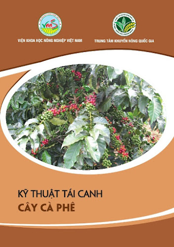 Kỹ Thuật Tái Canh Cây Cà Phê (NXB Hà Nội 2017) - Trần Danh Sửu, 32 Trang