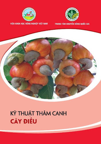 Kỹ Thuật Thâm Canh Cây Điều (NXB Hà Nội 2017) - Trần Danh Sửu, 32 Trang
