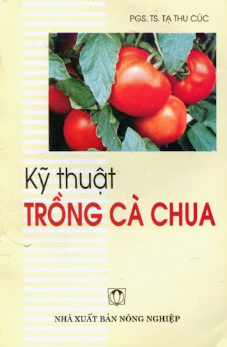 Kỹ Thuật Trồng Cà Chua (NXB Nông Nghiệp 2003) - Tạ Thu Cúc, 104 Trang