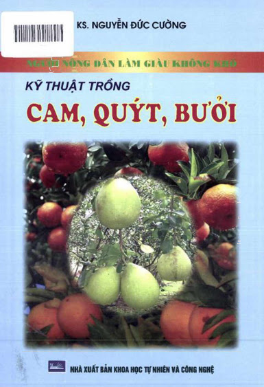 Kỹ Thuật Trồng Cam, Quýt, Bưởi (NXB Khoa Học Tự Nhiên 2010) - Nguyễn Đức Cường, 157 Trang