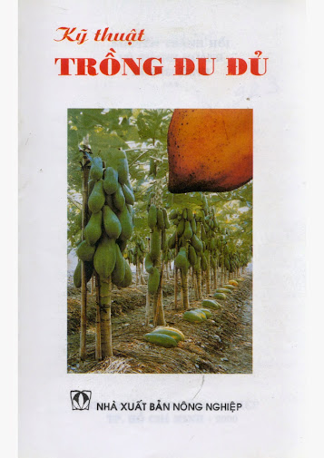 Kỹ Thuật Trồng Đu Đủ (NXB Nông Nghiệp 2000) - Nguyễn Thành Hối, 23 Trang