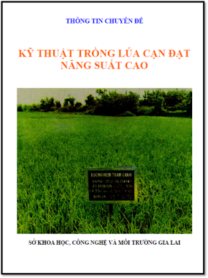 Kỹ Thuật Trồng Lúa Cạn Đạt Năng Suất Cao (NXB Gia Lai 1993) - Nguyễn Hiền, 16 Trang