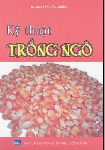 Kỹ Thuật Trồng Ngô (NXB Khoa Học Tự Nhiên Và Công Nghệ 2009) - Nguyễn Đức Cường, 104 Trang